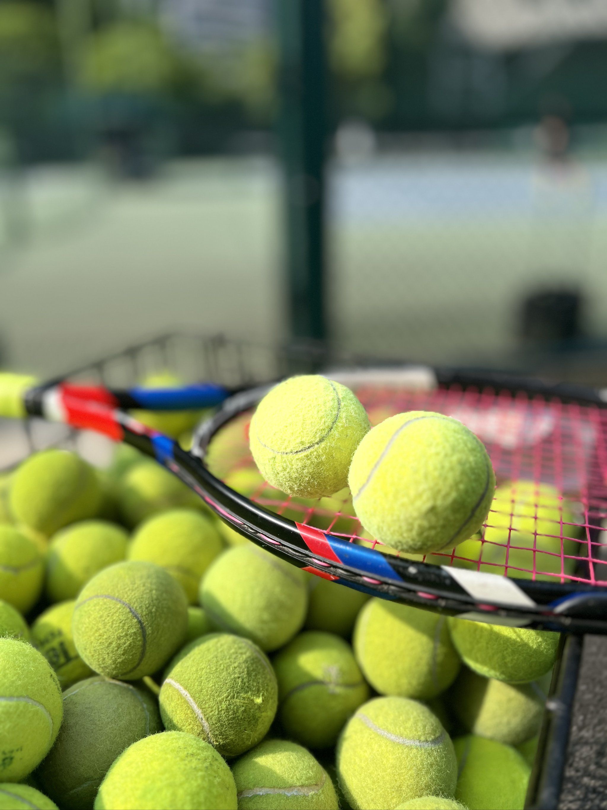 决策过程更 决策过程更